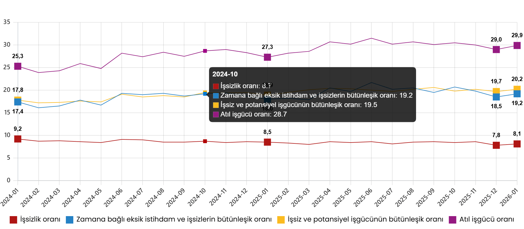 2026 Ocak İşgücü İstatistikleri Raporu