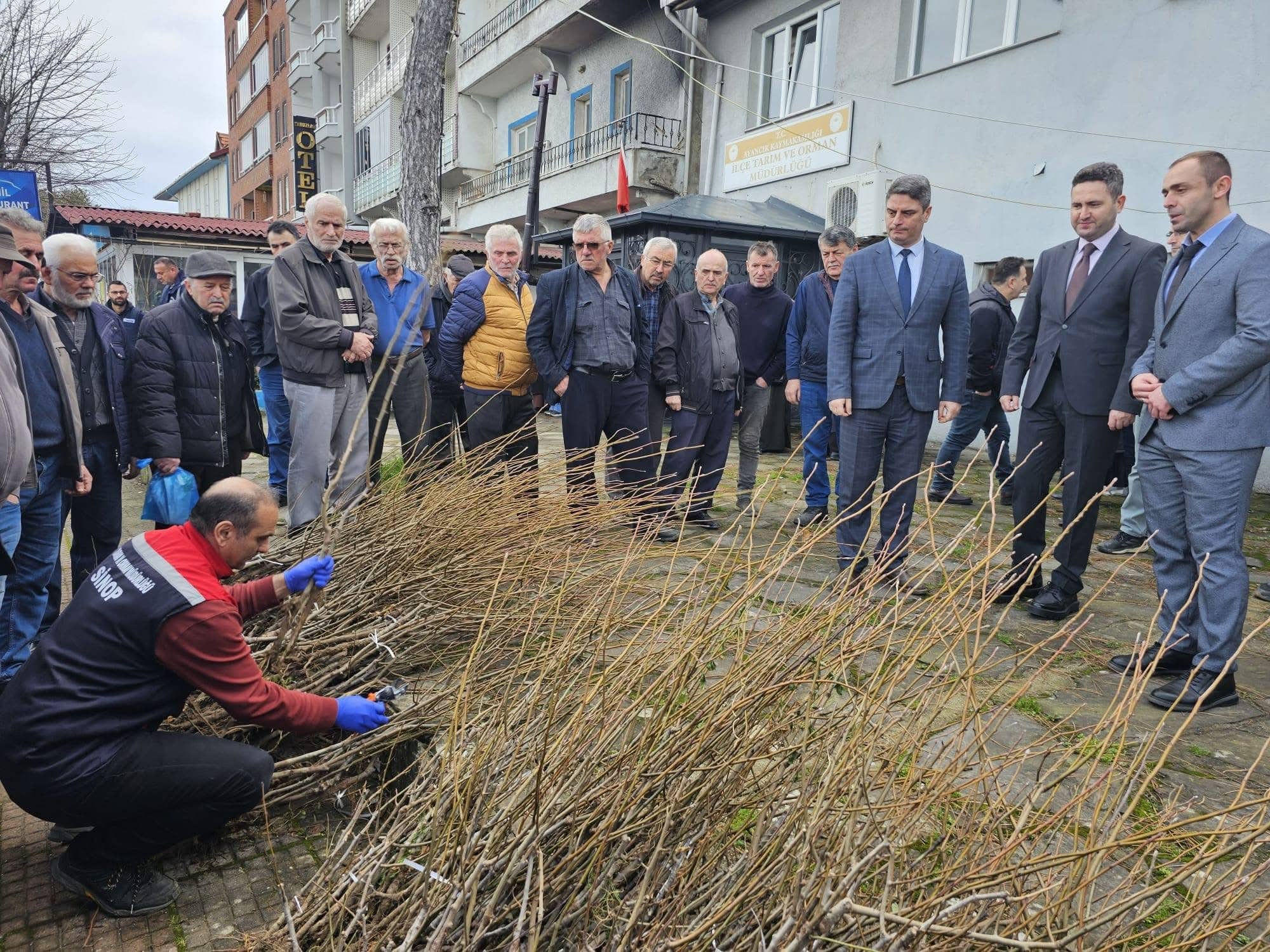 Ayancık’ta Fırıncık Armudu için 900 fidan dağıtıldı