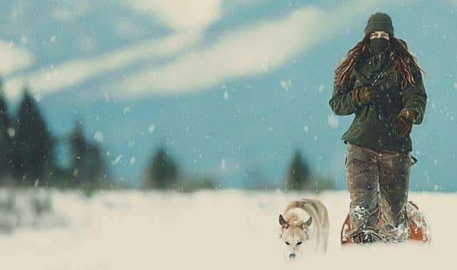 Vahşi Kuzeyde Yaşam 2. Sezon: Macera ve Doğa Tutkusu