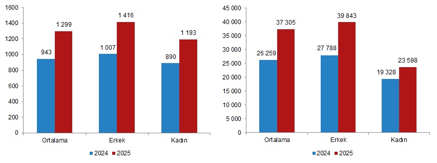 Ücretlerde Cinsiyete Göre Ayrım ve Bölgesel Farklılıklar
