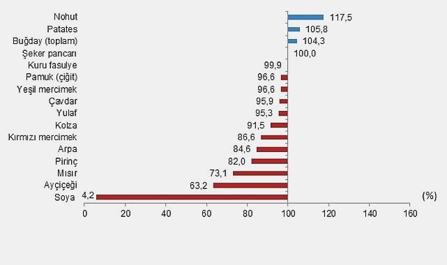 2025 Yılı İçin Bitkisel Ürünlerin Güncel Denge Tabloları