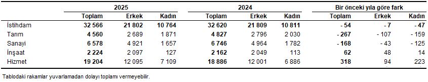 Sektörel Dağılım ve Bölgesel İşgücü Durumu