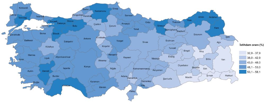 2025 Yılı İşgücü İstatistikleri Raporu