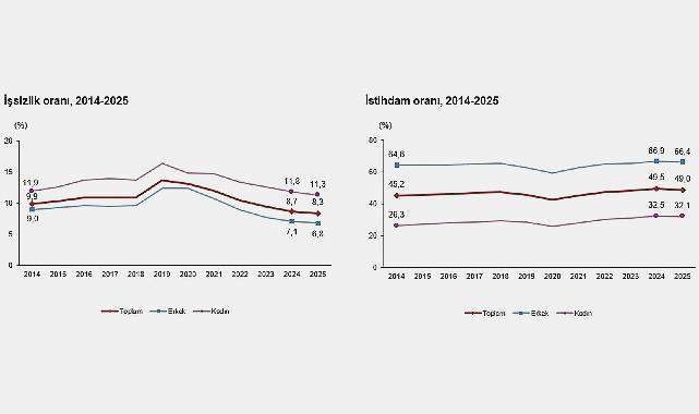 2025 Yılı İşgücü İstatistikleri Raporu