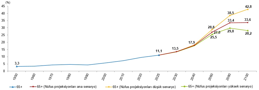 2025 Yılına Dair İstatistiklerle Yaşlı Nüfus Analizi