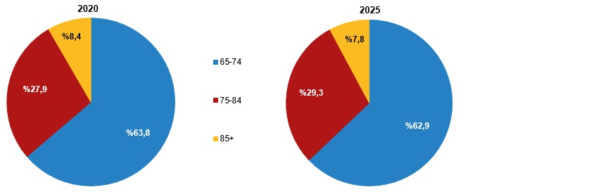 2025 Yılına Dair İstatistiklerle Yaşlı Nüfus Analizi