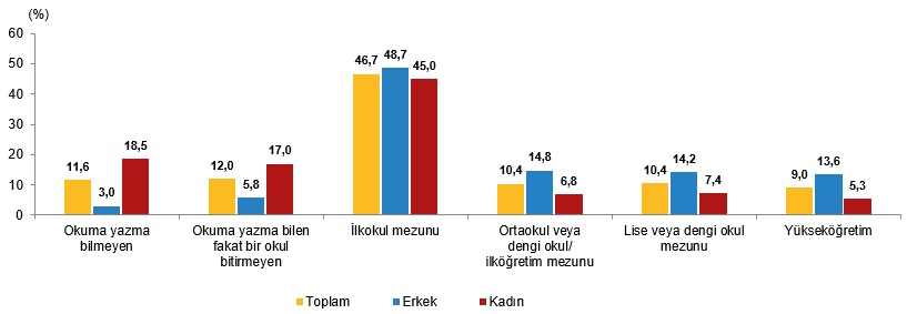 2025 Yılına Dair İstatistiklerle Yaşlı Nüfus Analizi