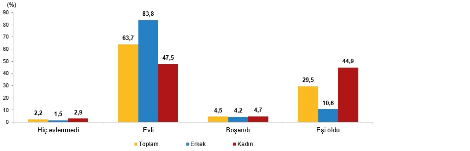 2025 Yılına Dair İstatistiklerle Yaşlı Nüfus Analizi
