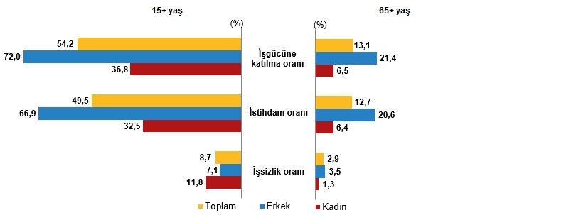 2025 Yılına Dair İstatistiklerle Yaşlı Nüfus Analizi