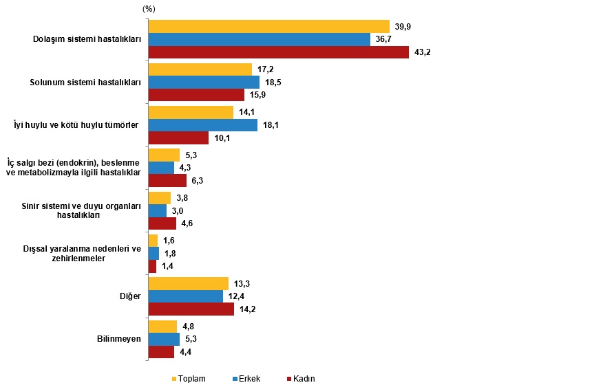 2025 Yılına Dair İstatistiklerle Yaşlı Nüfus Analizi