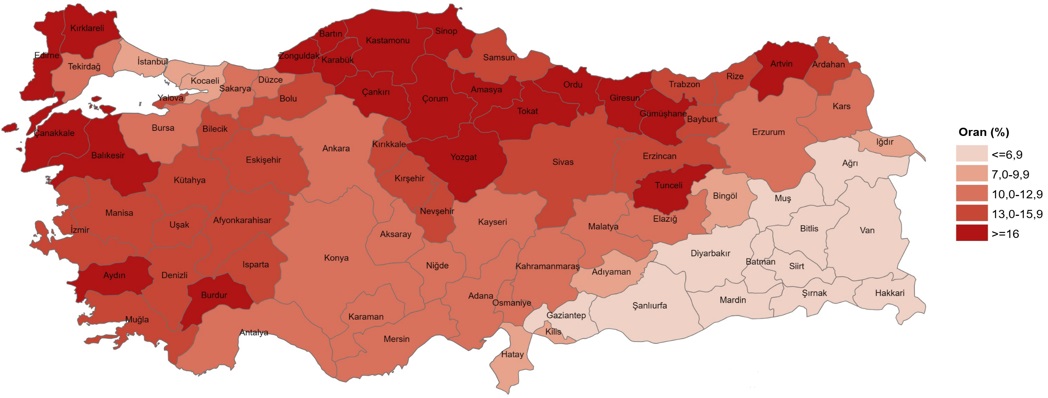 2025 Yılına Dair İstatistiklerle Yaşlı Nüfus Analizi