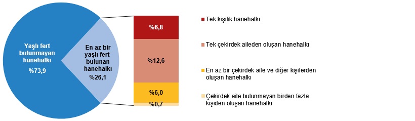 2025 Yılına Dair İstatistiklerle Yaşlı Nüfus Analizi