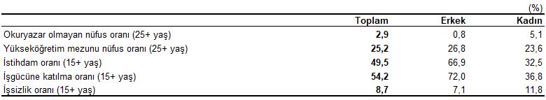 İstihdam, Sosyal Durum ve Şiddet Verileri