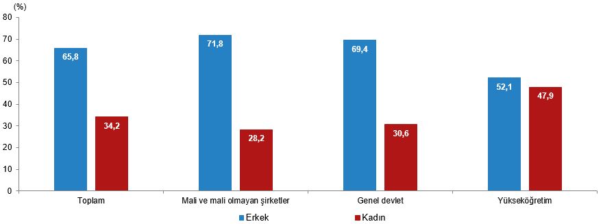 2025 Yılında Kadınlarla İlgili İstatistikler