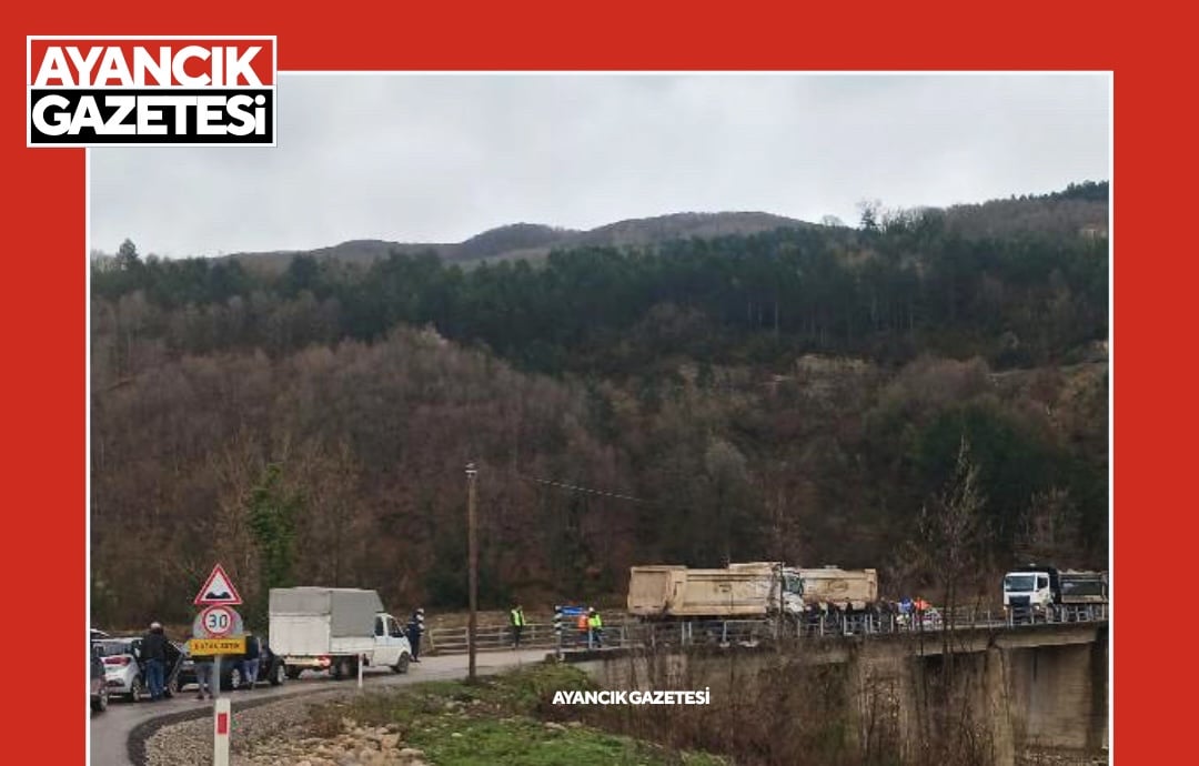 Fenalaşan kamyon sürücüsü kaza yaptı