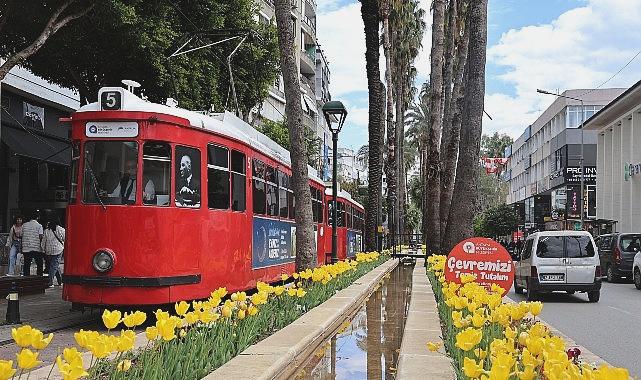 Antalya Sokaklarını Renklendiren Baharın Müjdecisi Laleler