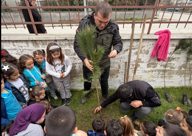 Ayancık’ta öğrenciler fidan dikti