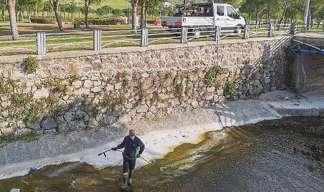 Mevsimsel Sineklerin Zararsız Doğası