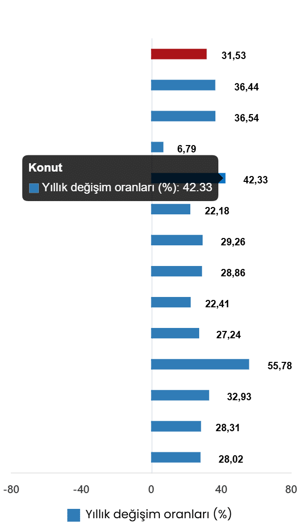Yıllık ve Aylık TÜFE Gelişimleri