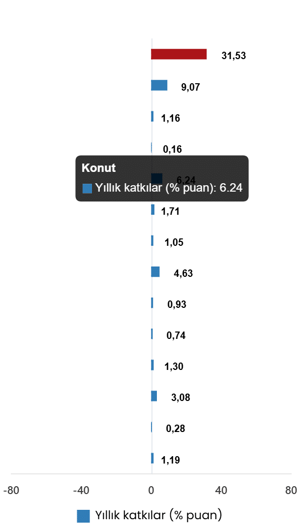 Aylık Değişim ve Özel Kapsamlı TÜFE Göstergeleri