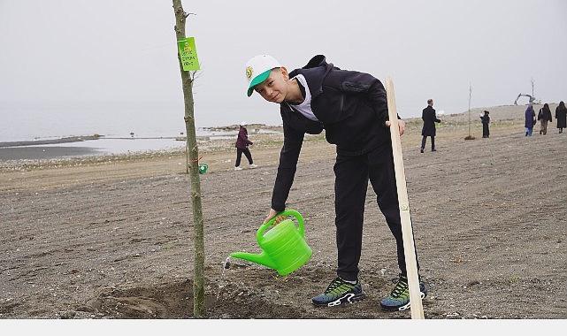 Yeni Yaşam Alanında Çınar Ağaçları Sıcacık Yükseliyor
