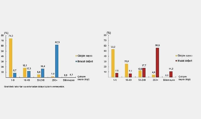 2024 Girişim Özelliklerine Göre Uluslararası Hizmet Ticareti İstatistikleri