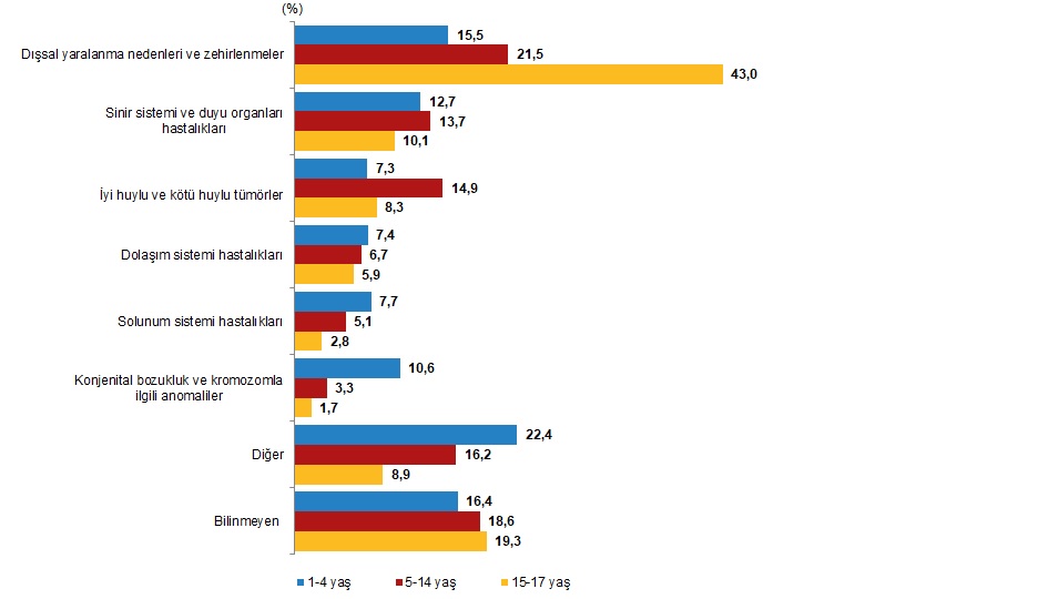 2025 Yılı İstatistikleriyle Çocuk Profili