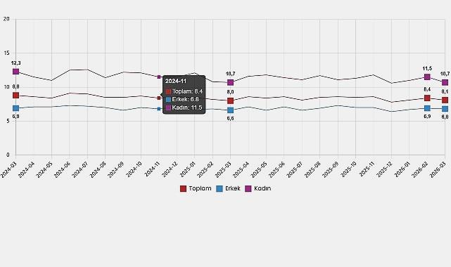 2026 Mart İşgücü İstatistikleri Raporu