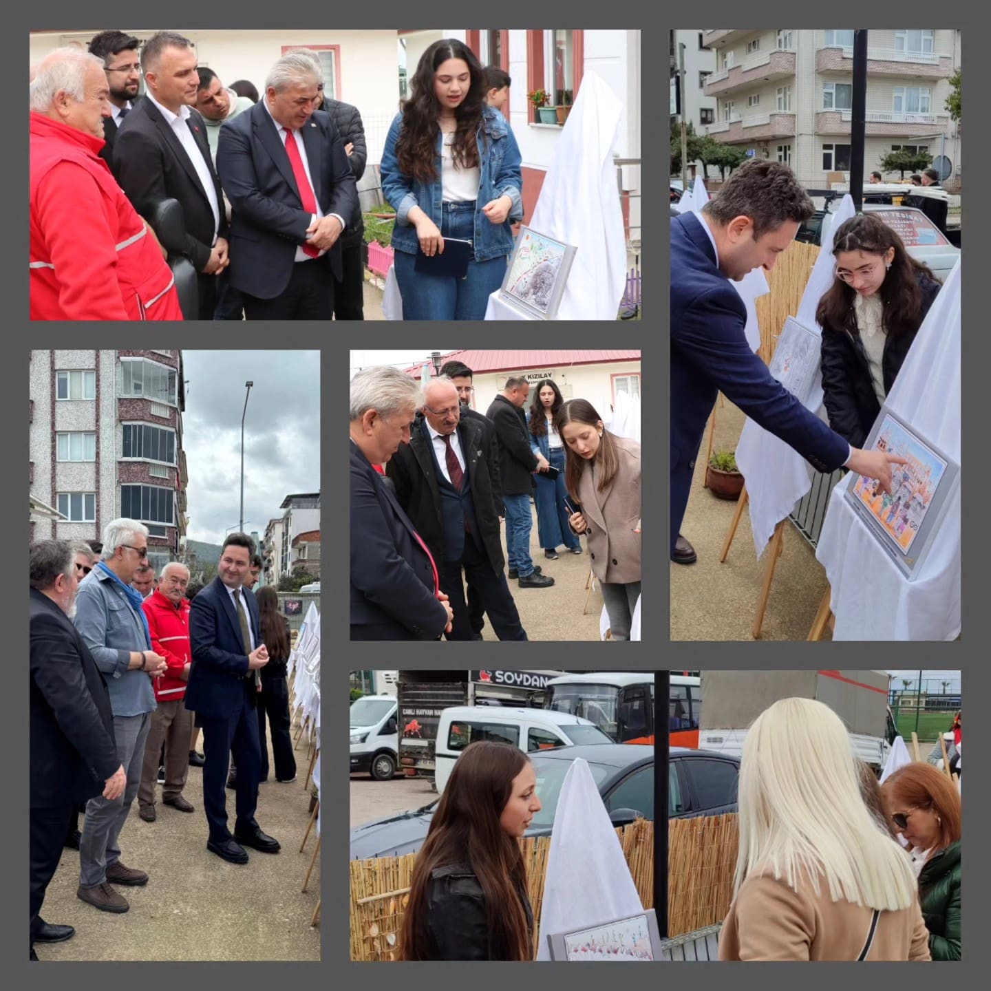 Ayancık’ta karikatür sergisi düzenlendi