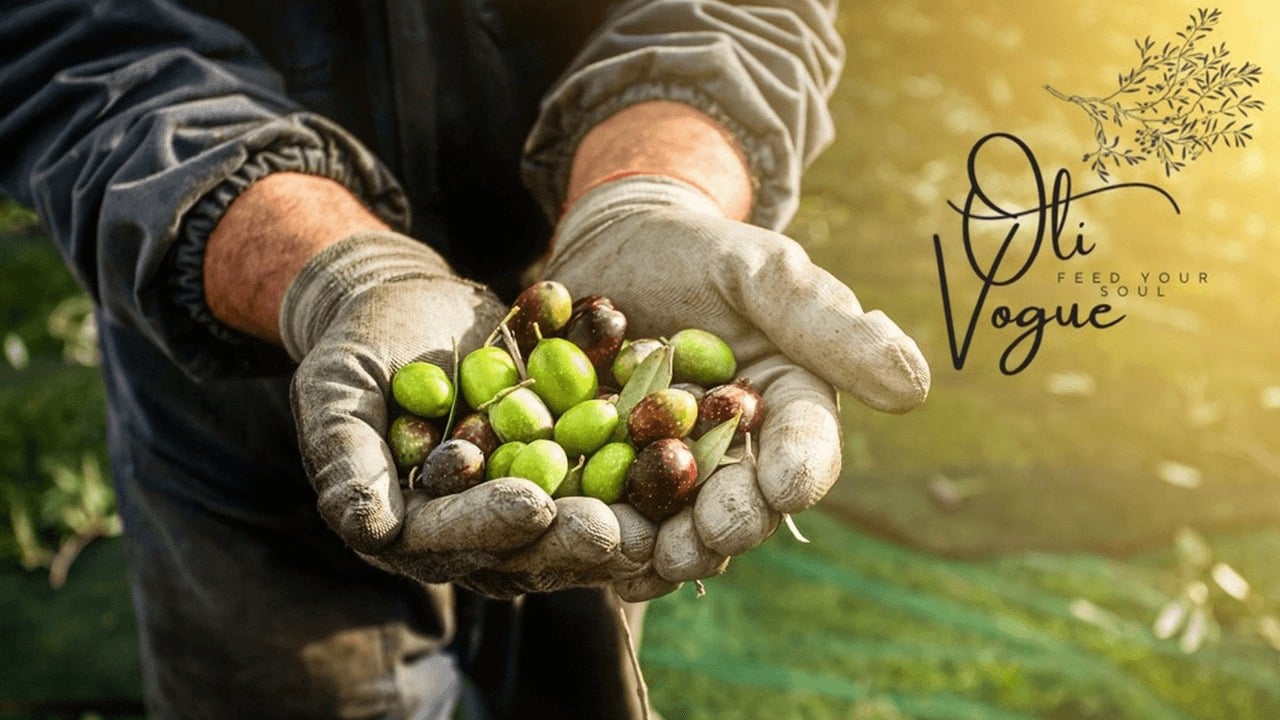 Soğuk Sıkım Zeytinyağı Nedir? Farkı ve Faydaları Nelerdir?