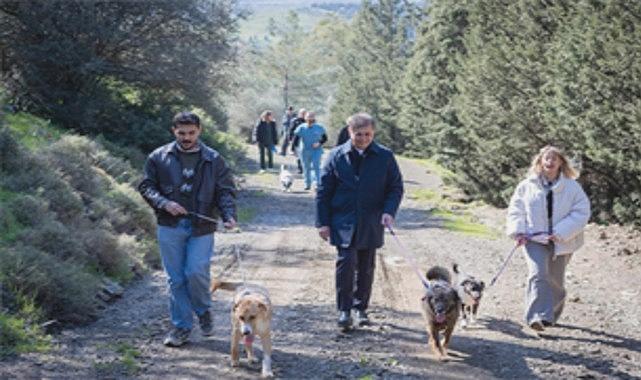 Barınaklardan 3 Binden Fazla Hayvan Yeni Sahipleriyle Buluştu