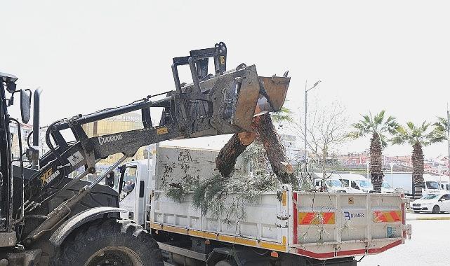 Başkan Çerçioğlu ile Aydın’ın Yeşil Vaatlerine Yenilikçi Bir Bakış