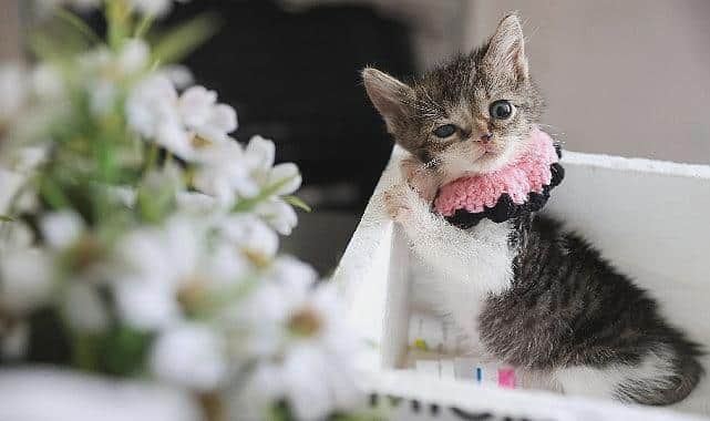 Buca Belediyesi, Zero Projesi İçin Tam Kadro Seferberlik Başlattı