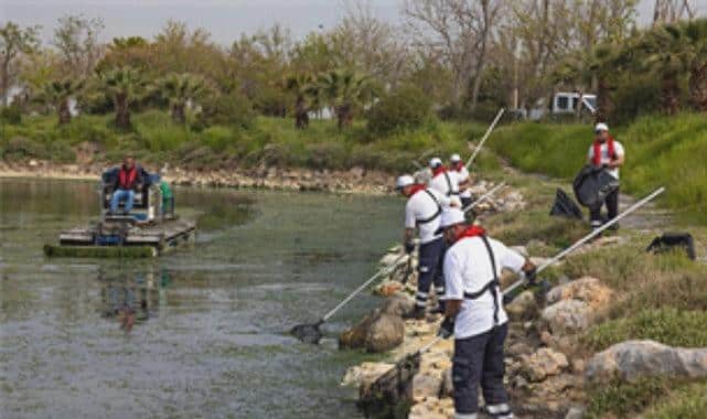 Çakalburnu Lagününden Körfeze Uzanan Yosunlara Etkili Mücadele