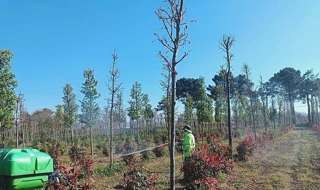 Fidanlar İçin Etkili Koruyucu Müdahale Yöntemleri