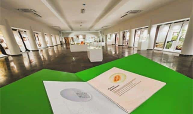 İzmir Mutfak Müzesi ile Lezzet Dolu Yemek Kültürü Yolculuğu