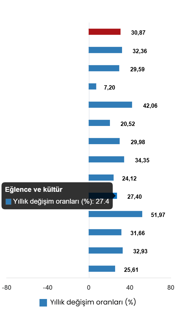 Özel Kapsamlı TÜFE Göstergeleri ve Alt Sınıf Hareketleri