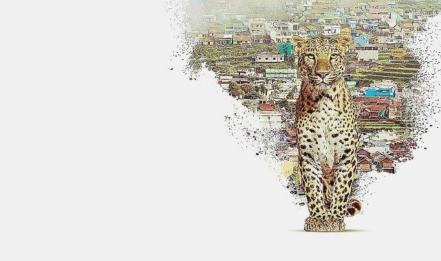 Nilgiris: Mavi Dağların Sırlarını Keşfetmeye Hazır Mısınız? 22 Nisan Çarşamba 20.00 National Geographic WILD’ta!