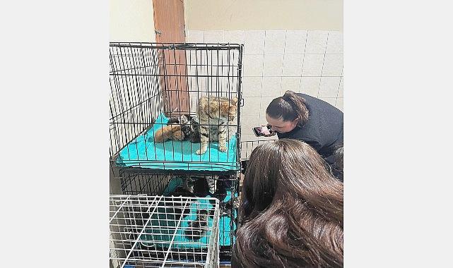 Patili Dostlarımıza Anlamlı ve Kalıcı Destek