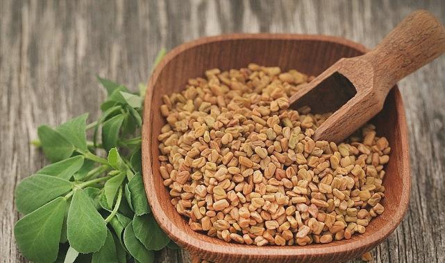 Prof. Dr. Nurhan Ünüsan: Demirhindi, Bamya ve Çemen Otunun Mikroplastiklere Karşı Etkili Doğal Koruması