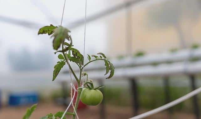 Yenişehir’den Eğitime Yeşil Destek Kampanyası