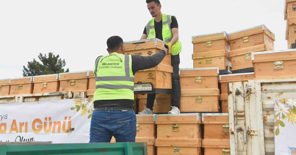 Ankara Büyükşehir Belediyesi 5 Bin Hibeli Arı Kovanı Dağıtımına Başladı