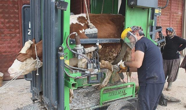 Büyükşehir Kırsal Üreticilere Destek Sağlıyor