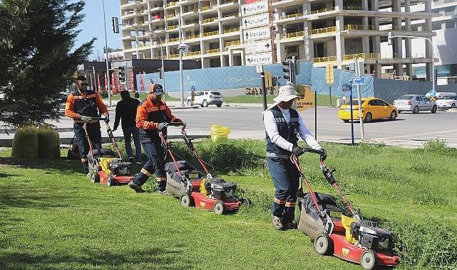 Çankaya Parklarında Yenilenen Çim Biçme Çalışmaları