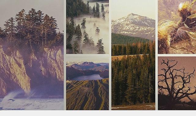 Ulusal Parklar: Amerika – 3 Mayıs Pazar Saat 20.00’de National Geographic WILD’de