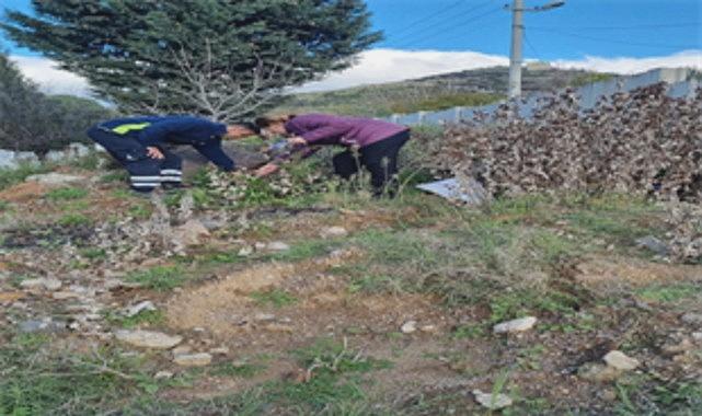 Büyükşehir tasarrufta rekor kırdı
