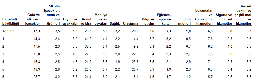 Hanehalkı Tüketim Harcaması, 2025