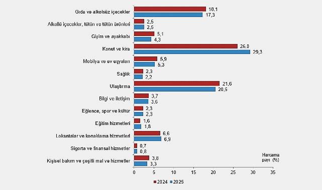 Hanehalkı Tüketim Harcaması, 2025