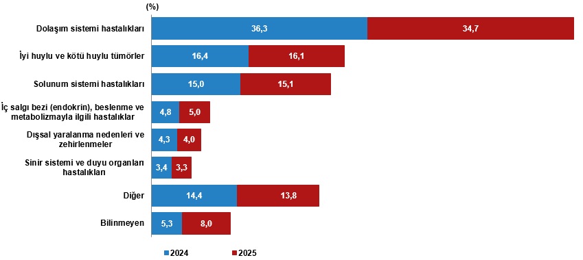 Ölüm ve Ölüm Nedeni İstatistikleri, 2025