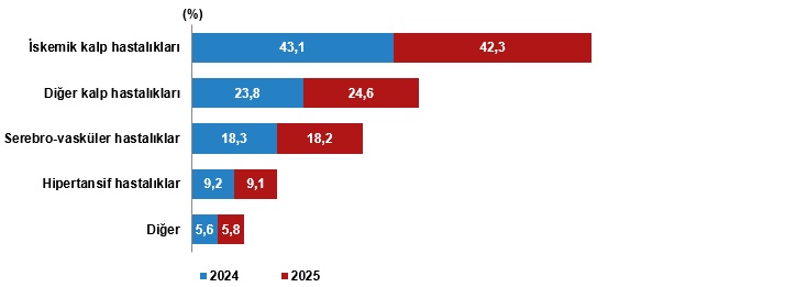 Ölüm ve Ölüm Nedeni İstatistikleri, 2025